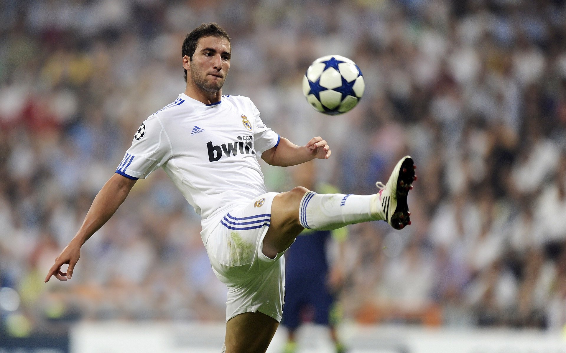 预定普斯卡什奖？热刺后卫闪耀欧冠：奔袭80米连过6人一条龙破门，热刺有过奖杯吗