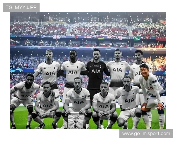 热刺防线人员紧缺冬窗签人呼声高涨，热刺冬季引援目标